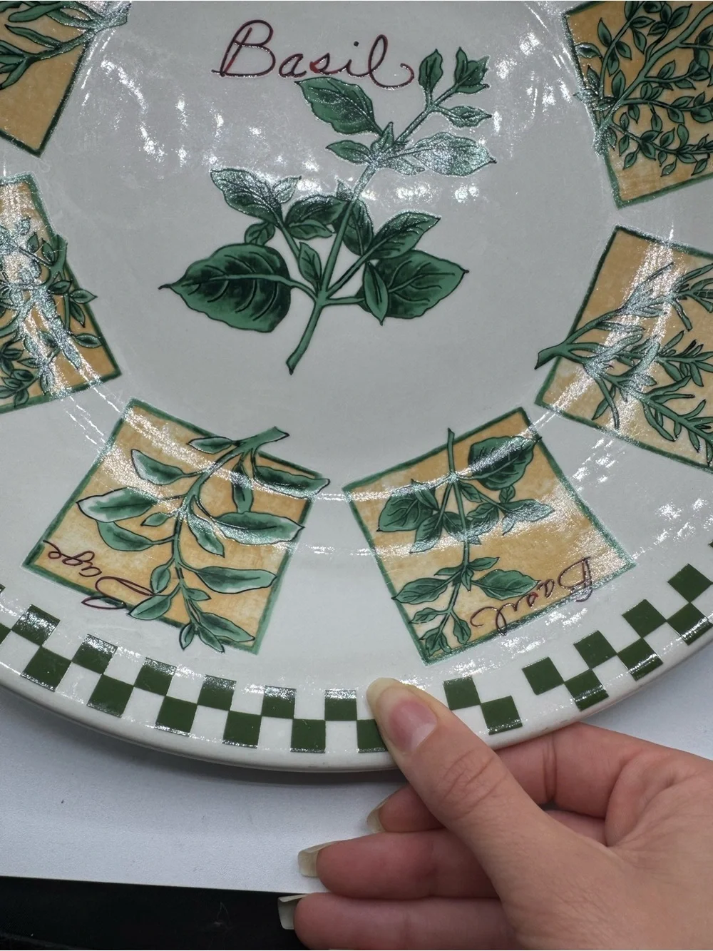 Large Green and White Pasta Bowl Different Herbs, Basil WCL 12 1/2”